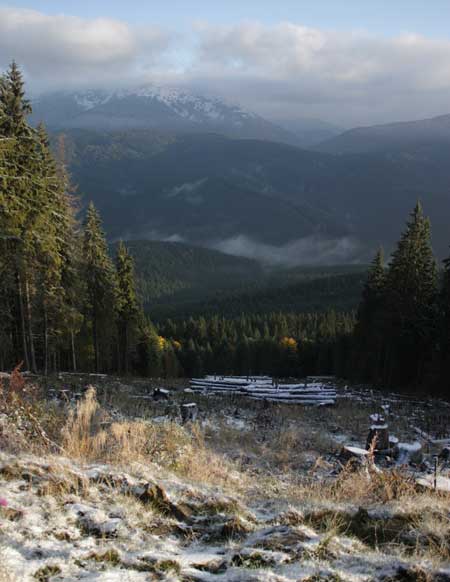У Карпатах випав перший сніг У Карпатах випав перший сніг