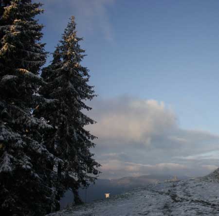 У Карпатах випав перший сніг У Карпатах випав перший сніг