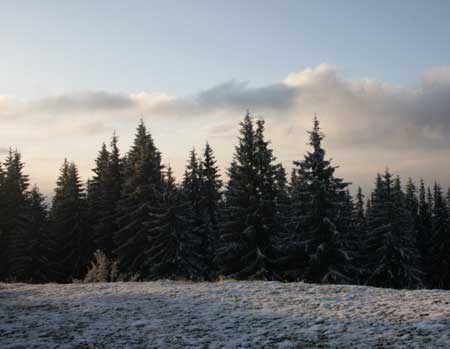 У Карпатах випав перший сніг У Карпатах випав перший сніг