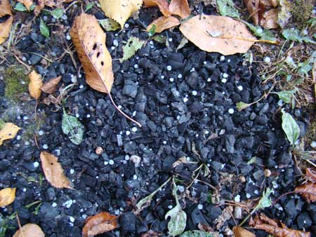 На Прикарпатті випав град На Прикарпатті випав град