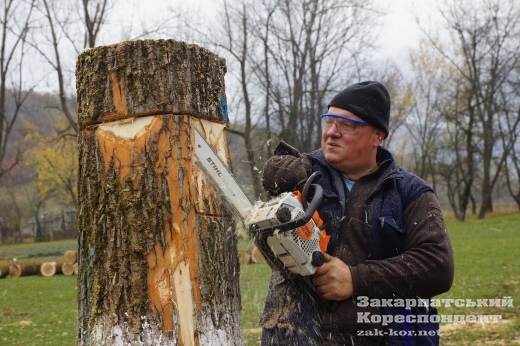 На Закарпатті кращі різьбярі створюють унікальну алею: опубліковано ФОТО На Закарпатті кращі різьбярі створюють унікальну алею: опубліковано ФОТО