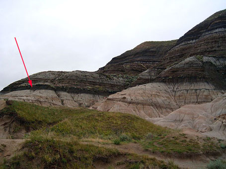 Иридиевая аномалия