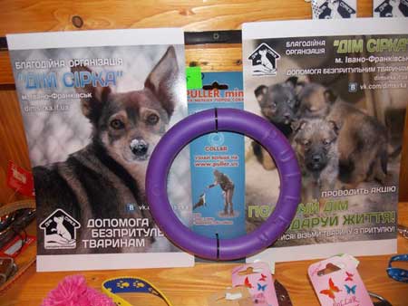 Активісти зібрали 1638 гривень для безпритульних собак
