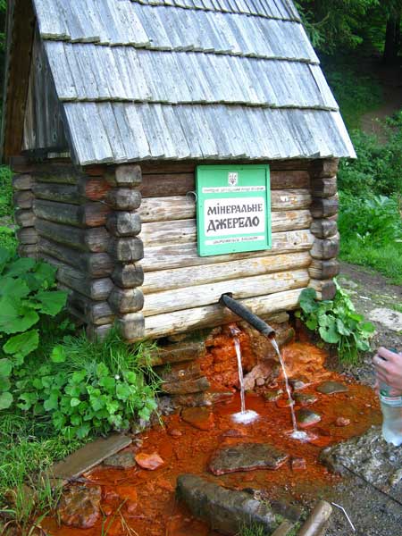10 вражаючих фактів про природу Карпат 10 вражаючих фактів про природу Карпат