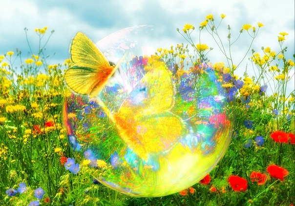 /data/blog/56511/a191ae11ebba34c4b5a7a8dc766dce69.jpg
