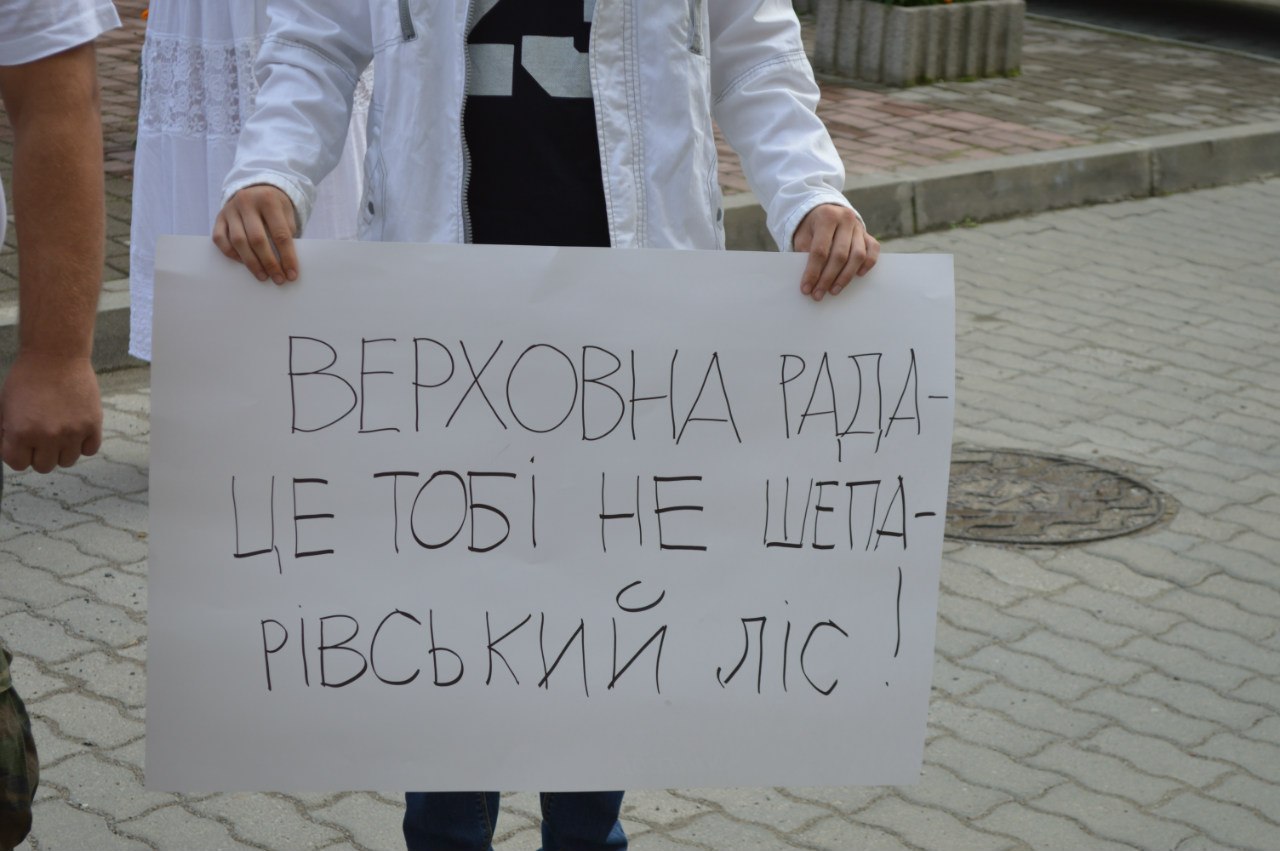/data/blog/57585/4590811a7ae04685aab19ffc0479f63e.jpg