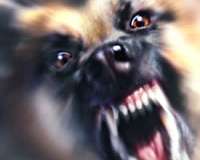 /data/blog/66523/24a349b22dea3de57637f533ded3108b.jpg