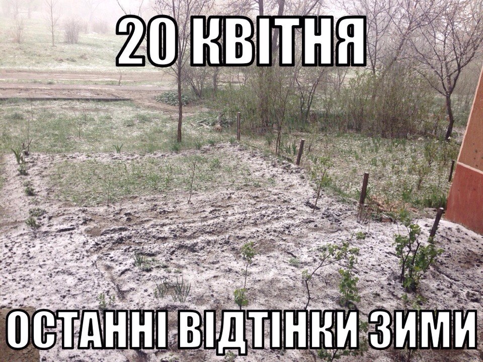 /data/blog/74954/7f6963ecb85d2f96b57b859ee03dab0a.jpg