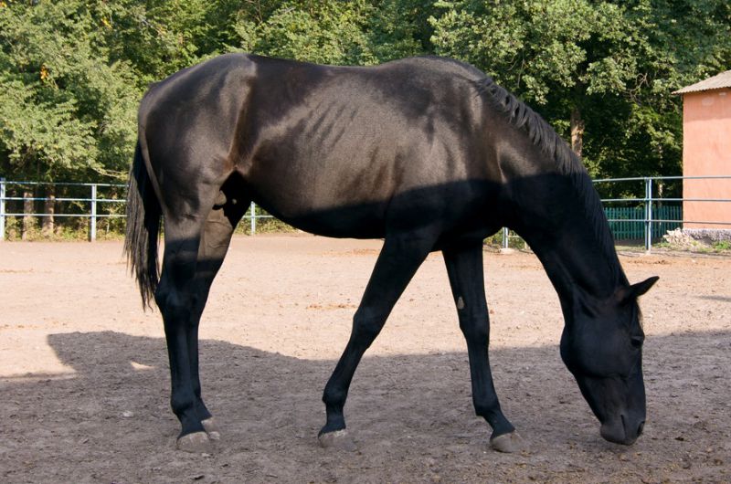37430_800x600_novoderkul-etu