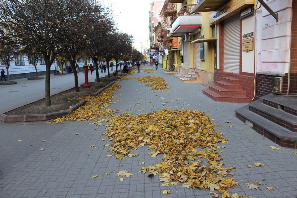 /data/blog/91419/ba56c4b7d6c424272fafb4c55fb5c10e.jpg