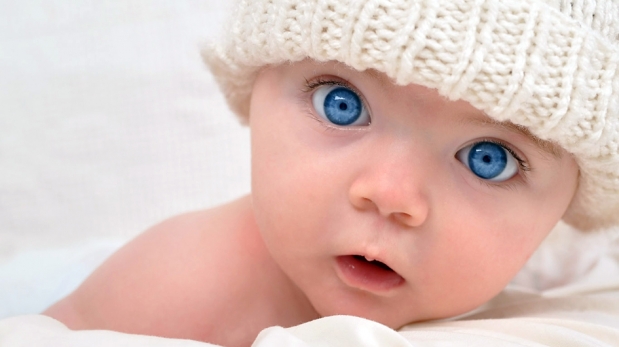 /data/blog/96025/bd94b60bd35e31c324e7bc19988457c6.jpg