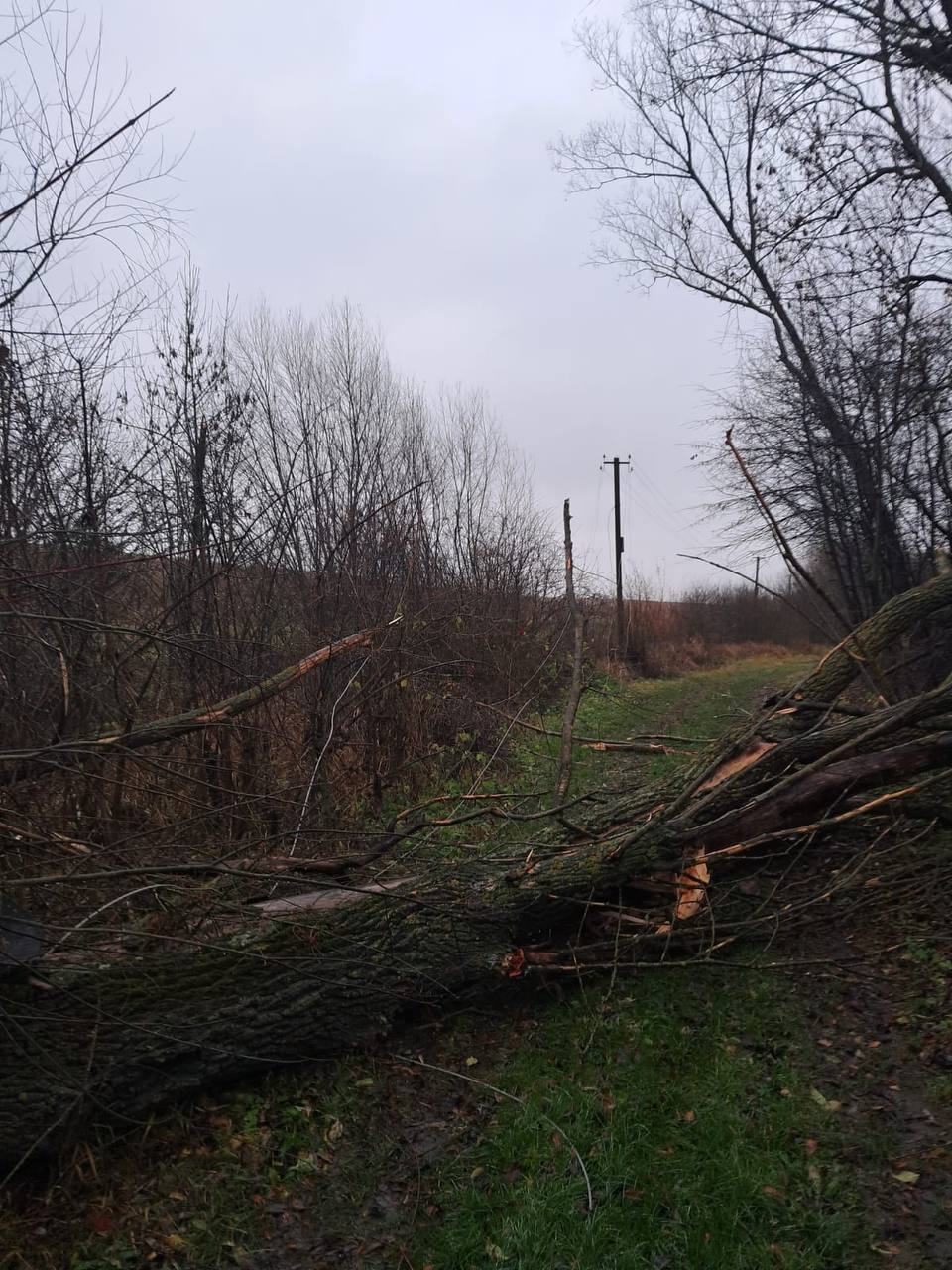 фото: наслідки негоди