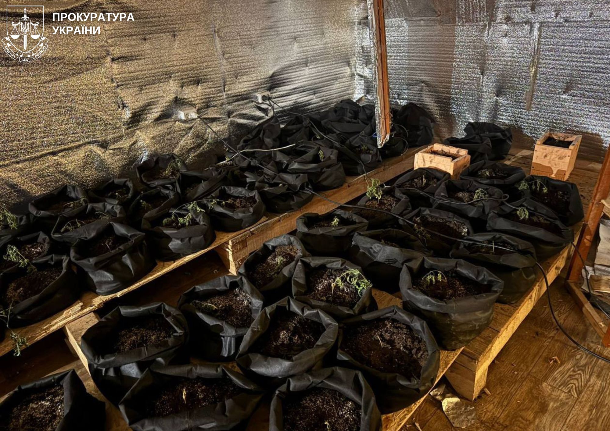 фото з місця події