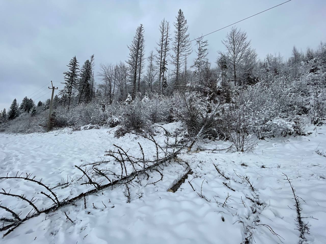 фото: наслідки негоди