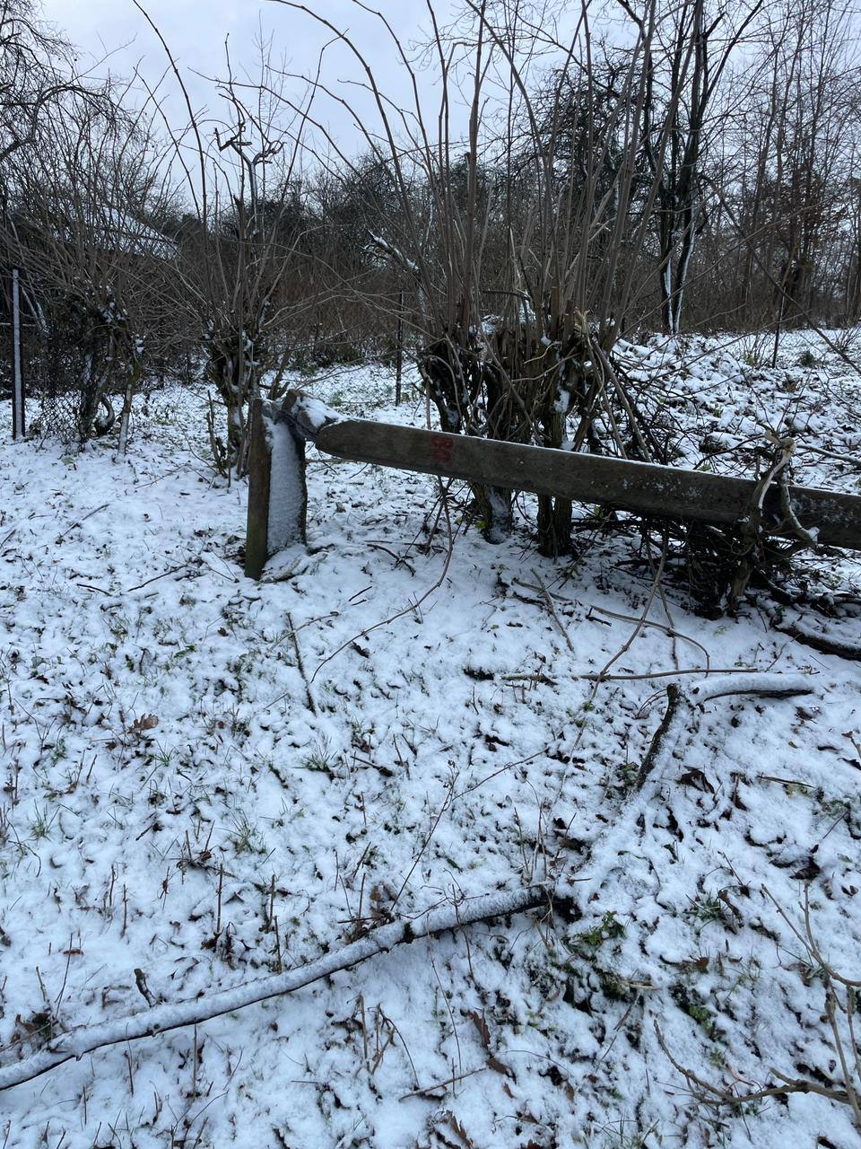 фото: наслідки негоди