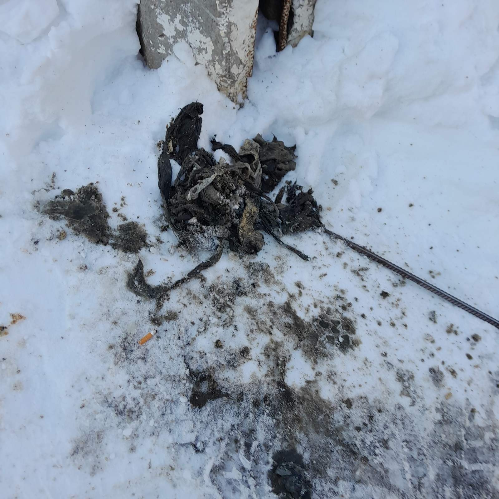 Фото з місця події